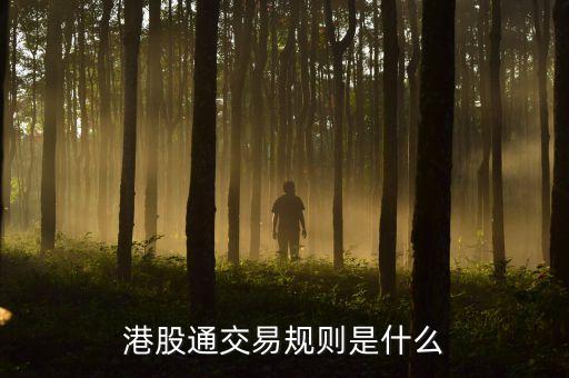 港股通有什么交易規(guī)則，港股通交易有哪些限制
