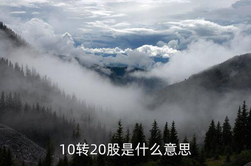 股票里的十轉二十什么意思，股票十送二十是什么意思