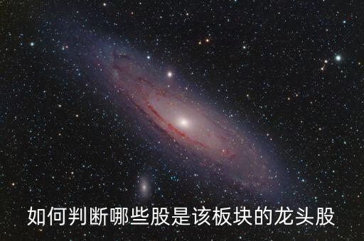 什么樣的股票才是版塊龍頭股，如何判斷哪些股是該板塊的龍頭股