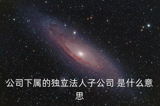 下屬子公司是什么意思，母公司集團公司是有限責(zé)任公司下屬子公司有的是有限責(zé)任公
