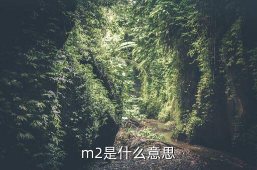 中國m2是什么，m2是什么意思