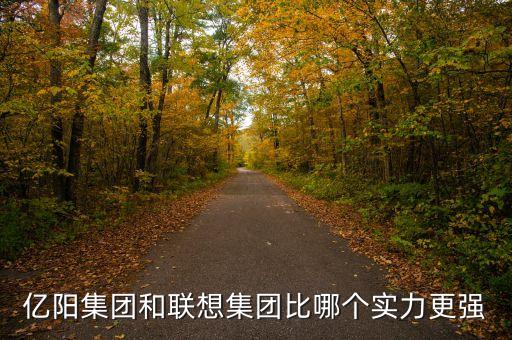 億陽集團的發(fā)展戰(zhàn)略是什么，億陽集團和聯(lián)想集團比哪個實力更強