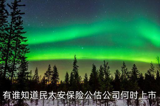 民太安和什么保險(xiǎn)公司有關(guān)系，我是校園招聘招進(jìn)去的去了民太安保險(xiǎn)公司寧波分公司現(xiàn)在想問問