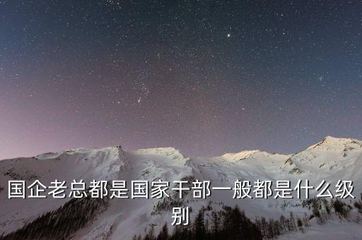 海螺集團(tuán)老總什么級(jí)別，國(guó)企老總都是國(guó)家干部一般都是什么級(jí)別