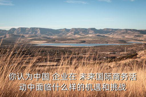 你認為中國 企業(yè)在 未來國際商務活動中面臨什么樣的機遇和挑戰(zhàn)
