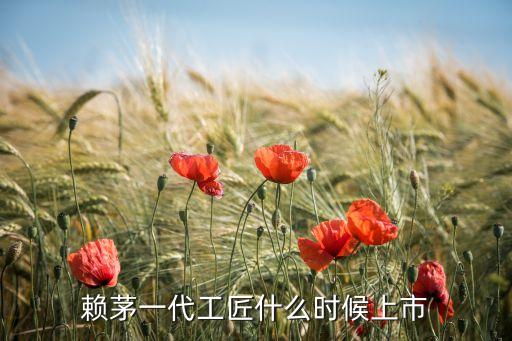 賴茅一代工匠什么時候上市