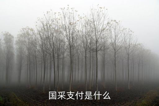 國(guó)采支付是什么