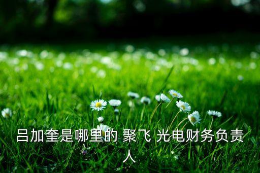 深圳市聚飛光電有限公司