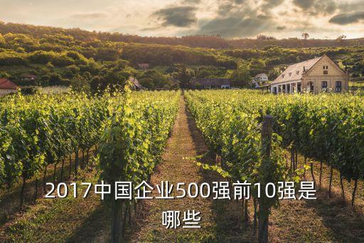2017中國企業(yè)500強(qiáng)前10強(qiáng)是哪些
