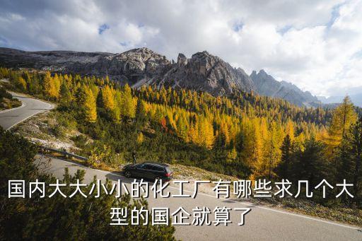 國內(nèi)大大小小的化工廠有哪些求幾個大型的國企就算了