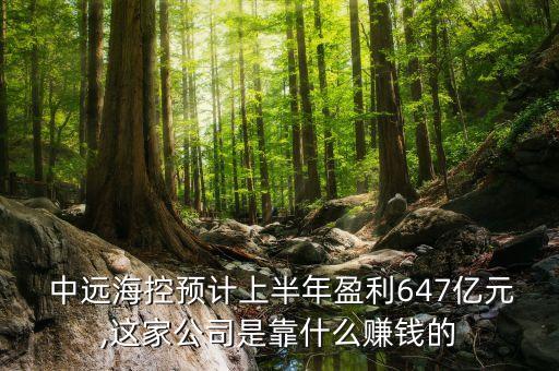  中遠(yuǎn)?？仡A(yù)計(jì)上半年盈利647億元,這家公司是靠什么賺錢的