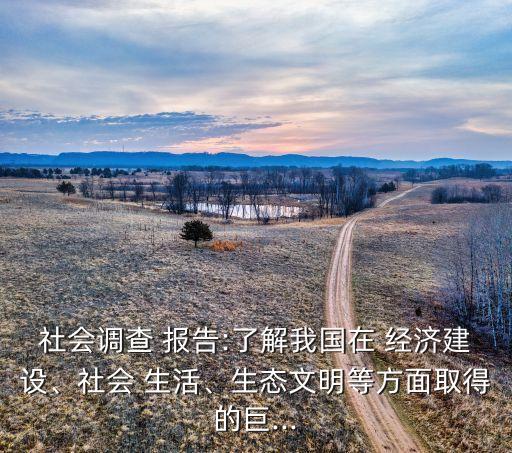 社會調(diào)查 報告:了解我國在 經(jīng)濟建設、社會 生活、生態(tài)文明等方面取得的巨...
