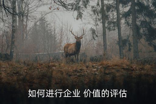 如何進行企業(yè) 價值的評估