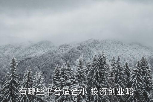 有哪些平臺(tái)適合小 投資創(chuàng)業(yè)呢
