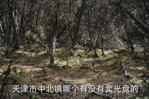  天津市中北鎮(zhèn)哪個(gè)有沒有賣光盤的