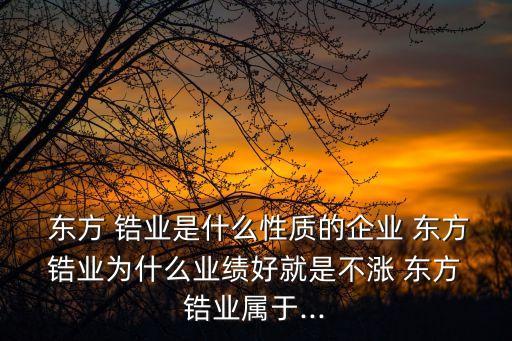  東方 鋯業(yè)是什么性質(zhì)的企業(yè) 東方 鋯業(yè)為什么業(yè)績好就是不漲 東方 鋯業(yè)屬于...