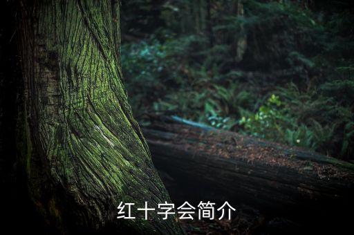 紅十字會簡介