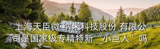  上海天臣微 納米科技股份 有限公司是國家級專精特新“小巨人”嗎
