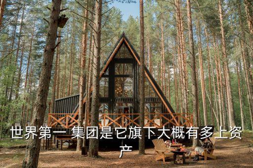 卡爾森酒店集團(tuán)現(xiàn)狀,美國(guó)卡爾森酒店集團(tuán)