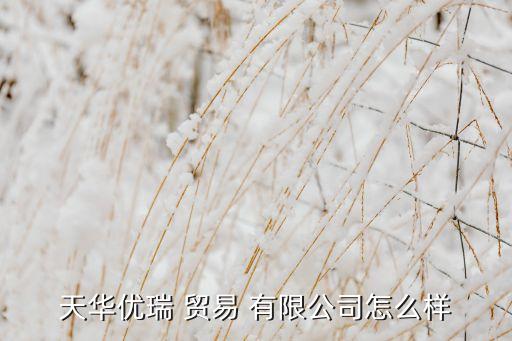 天華優(yōu)瑞 貿易 有限公司怎么樣