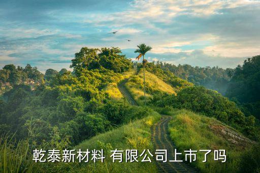 乾泰新材料 有限公司上市了嗎