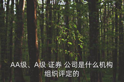 AA級(jí)、A級(jí) 證券 公司是什么機(jī)構(gòu)組織評(píng)定的