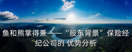 魚和熊掌得兼——“股東背景”保險(xiǎn)經(jīng)紀(jì)公司的 優(yōu)勢分析