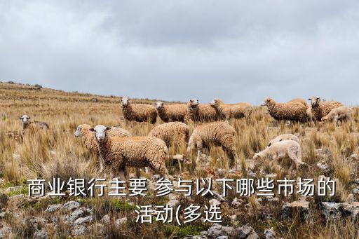  商業(yè)銀行主要 參與以下哪些市場(chǎng)的活動(dòng)(多選