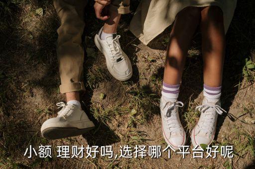 網(wǎng)上小額理財投資交易,理財終止投資交易是什么意思