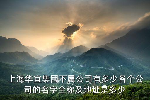  上海華宜集團(tuán)下屬公司有多少各個公司的名字全稱及地址是多少