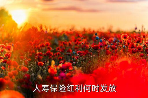  人壽保險(xiǎn)紅利何時(shí)發(fā)放