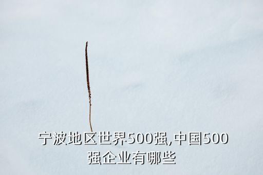  寧波地區(qū)世界500強(qiáng),中國(guó)500強(qiáng)企業(yè)有哪些