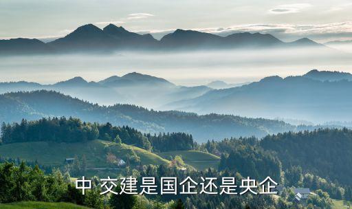 中國(guó)交建簡(jiǎn)介,交建股份公司簡(jiǎn)介