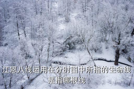 江恩八線運用在分時圖中所指的生命線是指哪根線