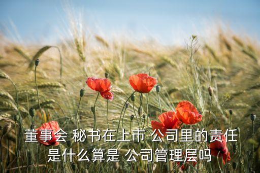  董事會 秘書在上市 公司里的責任是什么算是 公司管理層嗎
