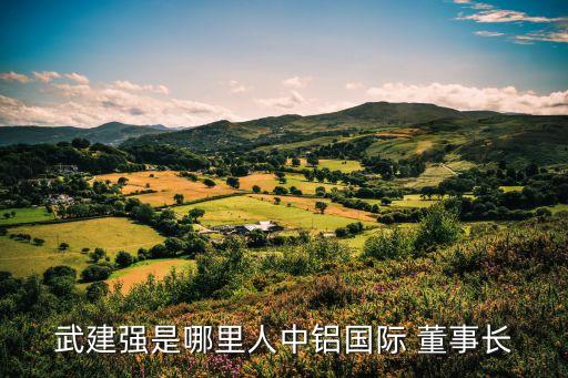 武建強(qiáng)是哪里人中鋁國際 董事長