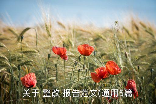 公司網(wǎng)站整改報(bào)告,年報(bào)、公司報(bào)告及公司網(wǎng)站
