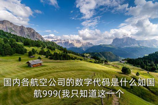 國內各航空公司的數字代碼是什么如國航999(我只知道這一個