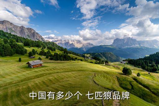 中國有多少個 七匹狼品牌
