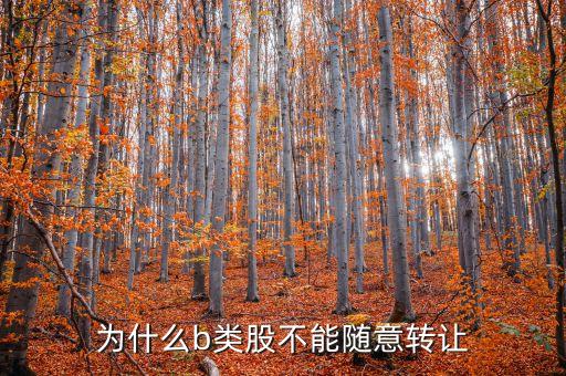 為什么b類股不能隨意轉讓