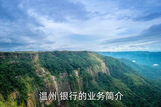  溫州 銀行的業(yè)務(wù)簡(jiǎn)介