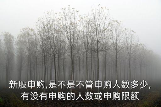 新股申購,是不是不管申購人數(shù)多少,有沒有申購的人數(shù)或申購限額