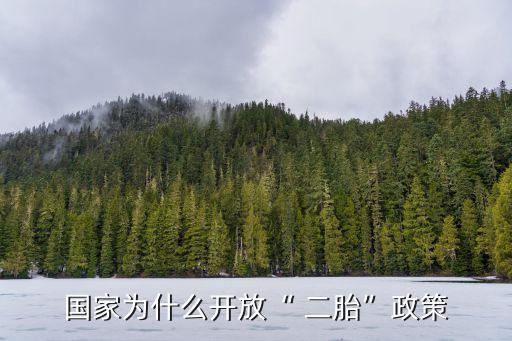 國(guó)家為什么開(kāi)放“ 二胎”政策