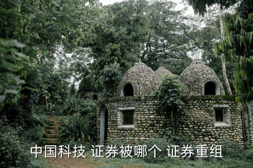 證券投資者保護基金有限責(zé)任公司,中國證券投資者保護基金有限責(zé)任公司招聘