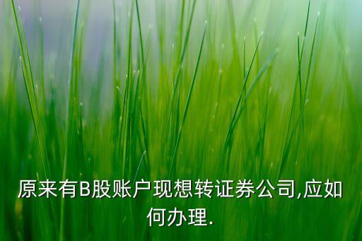 原來有B股賬戶現(xiàn)想轉證券公司,應如何辦理.