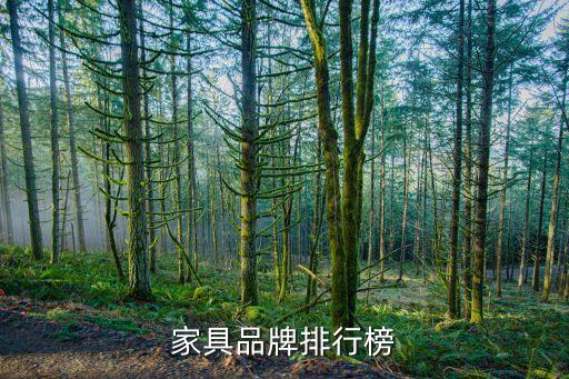 美克美家上?；春Ｂ返?上海美克美家哪個最大