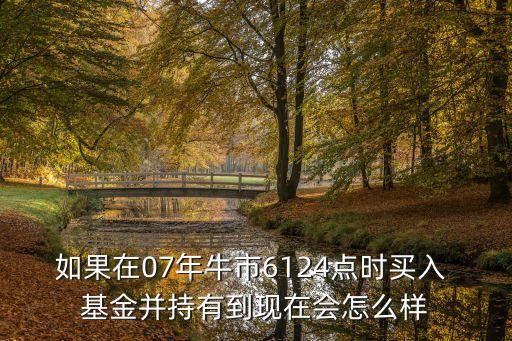 如果在07年牛市6124點(diǎn)時(shí)買(mǎi)入 基金并持有到現(xiàn)在會(huì)怎么樣