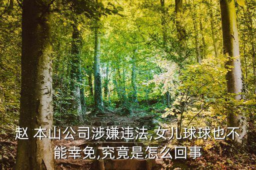 本山集團(tuán)大股東,本山傳媒股東都有誰