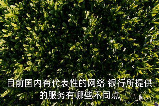 國內(nèi)外網(wǎng)上銀行業(yè)務(wù)對(duì)比,手機(jī)怎么開通網(wǎng)上銀行業(yè)務(wù)