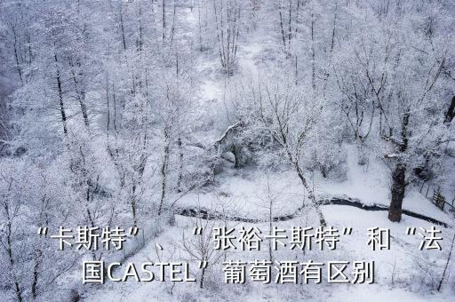 “卡斯特”、“ 張?jiān)？ㄋ固亍焙汀胺▏?guó)CASTEL”葡萄酒有區(qū)別